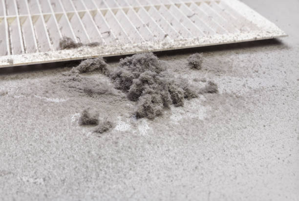 Best Local Air Duct Cleaning Services  in Good Hope, AL
