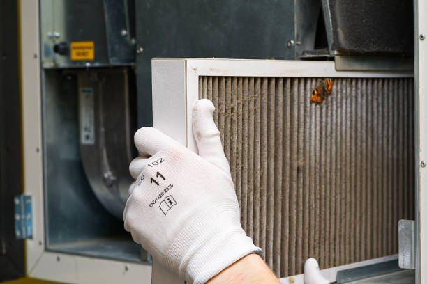 Best Professional Duct Cleaning Services  in Good Hope, AL
