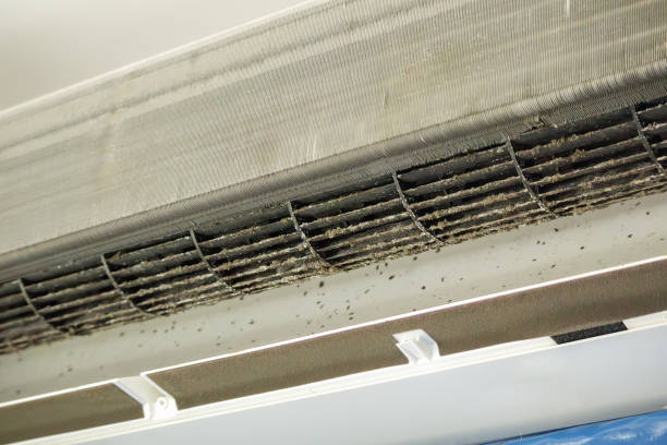 Best Ductwork Cleaning Services  in Good Hope, AL